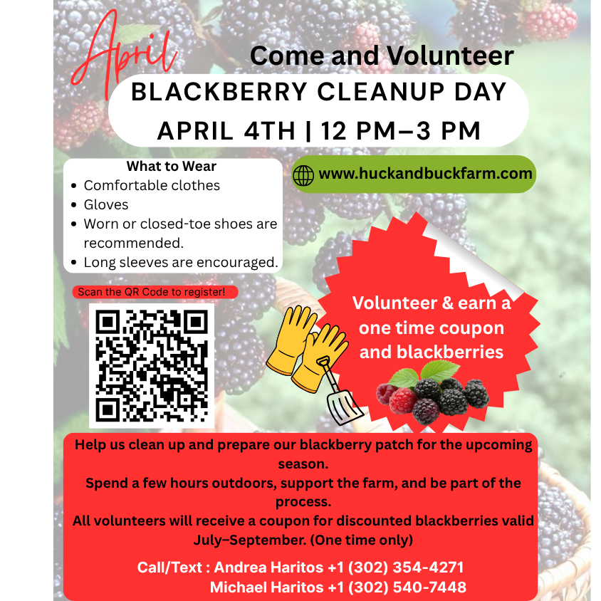 Blackberry Cleanup Day Volunteer Opportunity