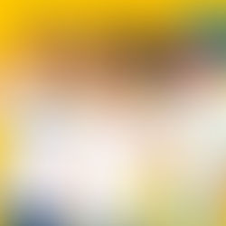 So Fresh and Unbothered