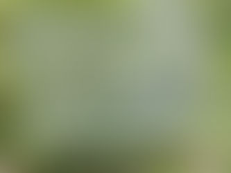 Verbindung schaffen, Stress abbauen, Natur erleben - was hat es damit auf sich?