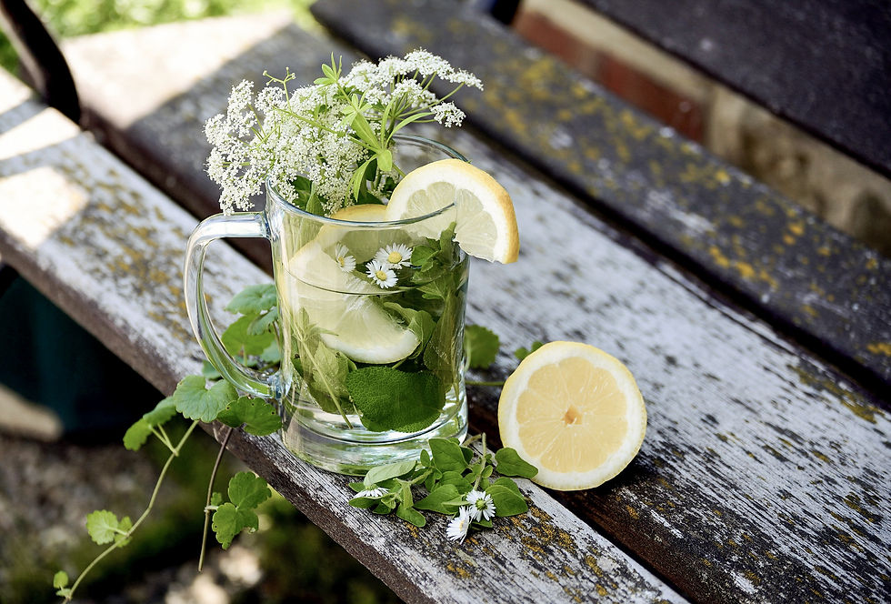 Alltagspause: Entschleunigung in der Natur