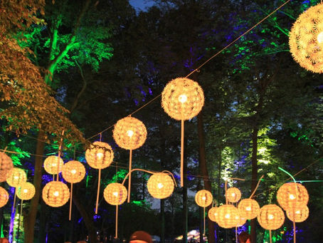 FIREFLY FESTIVAL DAY 1