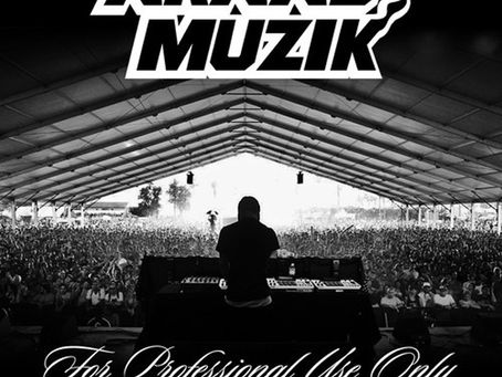 NEW MUSIC: Araab Muzik – For Professional Use Only