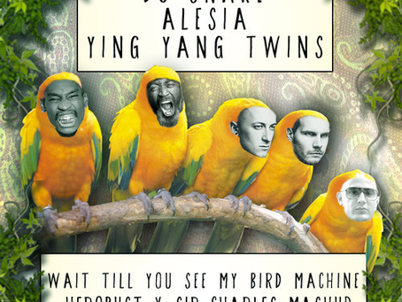 Wakarusa Preview: heRobust + Sir Charles give “Bird Machine” a makeover