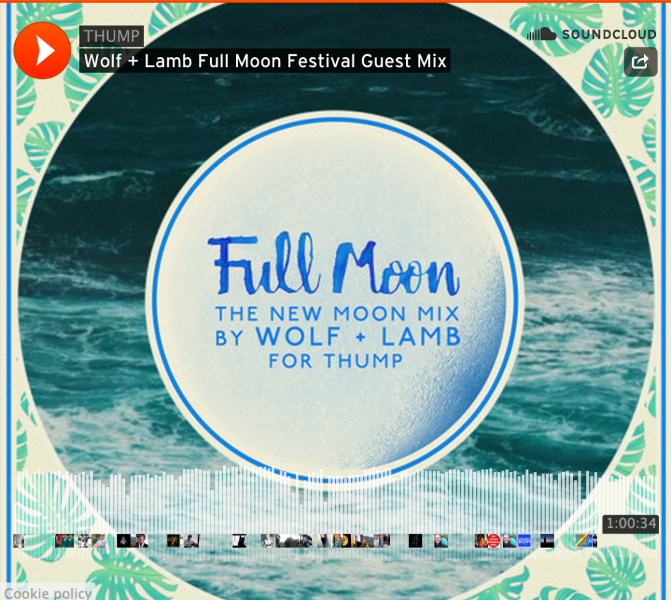 full-moon-wolf-lamb-mix