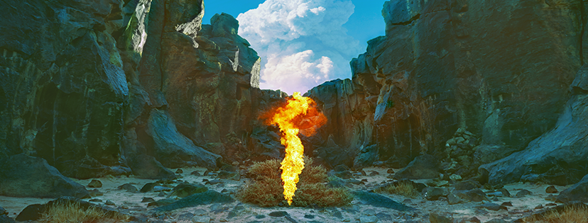 bonobo new album