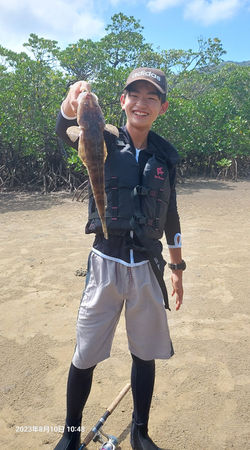 結構でかいマゴチ