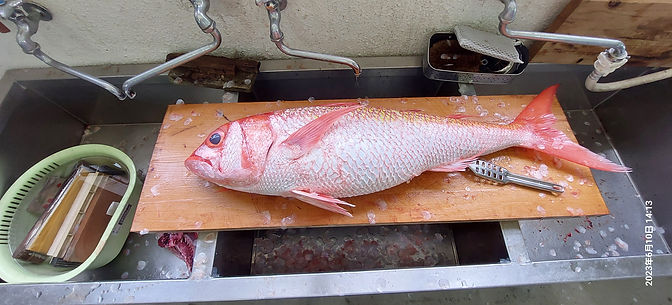 アカマチの偽物