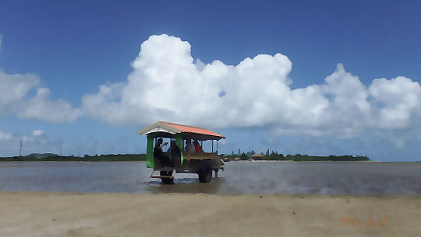 水牛車で由布島へ