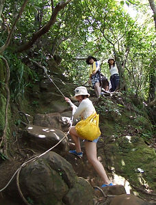 険しい登り、下りあります。