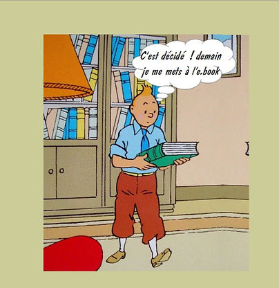 Tintin%20ebook_edited.jpg