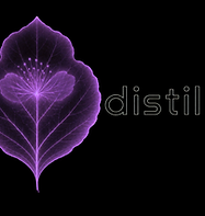 file_00000000acc071fd9b1e0de6f1743db9.png