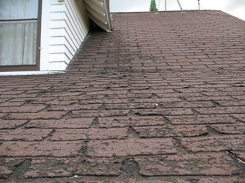 Choosing the Right Asphalt Shingles in Ontario