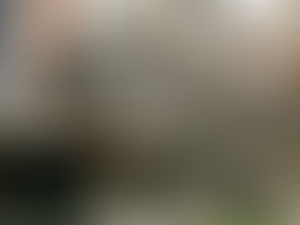 Weathered wooden deck and stairs outside a brick building, surrounded by fallen leaves. Mood is rustic and slightly neglected.