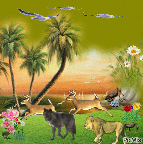 3336118_ef809.gif