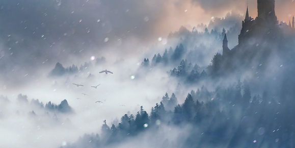 Narrative Craft Twitter Post.jpg