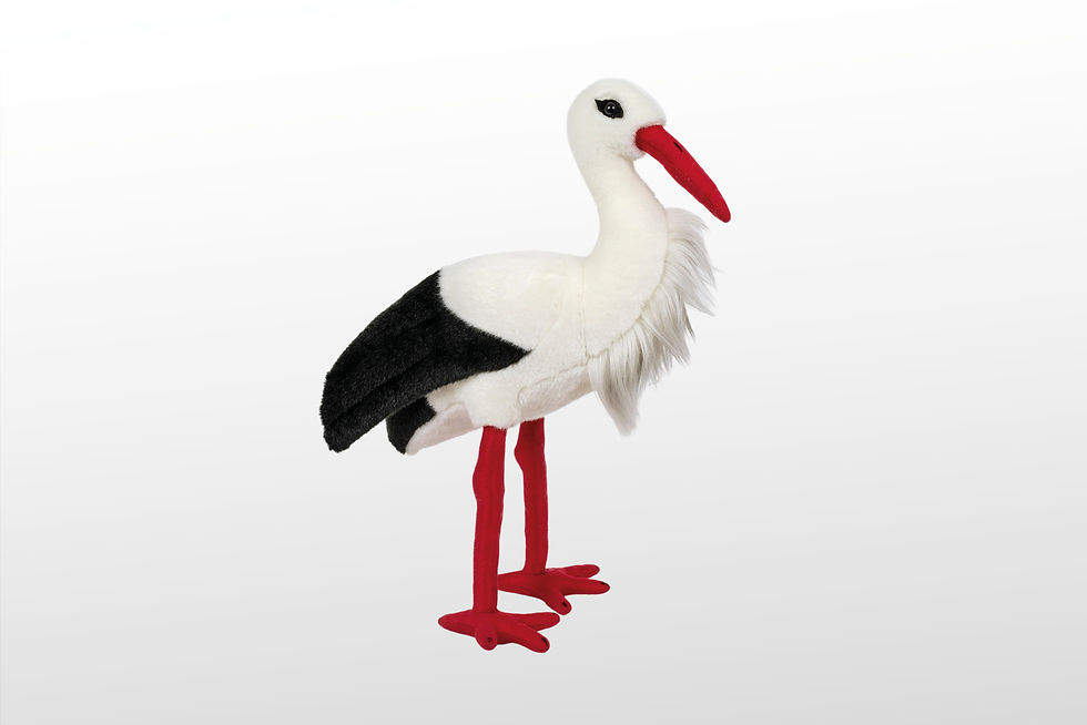 Cigogne