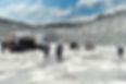 RS1_0473.jpg