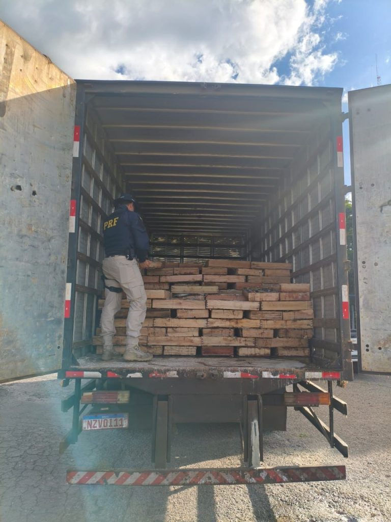 Polícia Rodoviária Federal apreende 9 toneladas de peixe mapará, em carga irregular na BR-116 - Em Milagres/BA