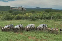 Megaoperação erradica 200 mil pés de maconha e apreende 1 tonelada da droga - Em Brotas de Macaúbas/BA