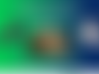 Declaración conjunta de las Bibliotecas Nacionales y otras Instituciones Bibliotecarias de América Latina: