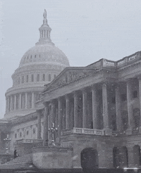 Transforming Washington, D.C