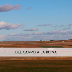 DELCAMPO.jpg