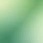 gradient colors, background, sage green.jpg