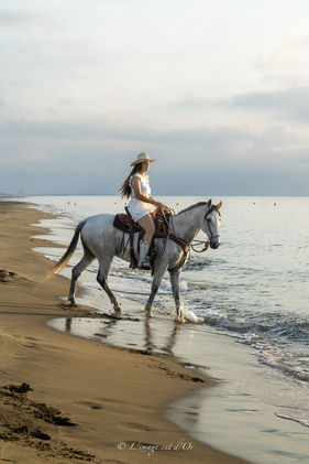 cheval, équitation, cavalière, monter à cheval, galop, chevaux, séance photo équitation, séance photo équine, monde équin, photo à cheval, photo de cheval, photo de chevaux, jument, pouliche, poulain, aude, Occitanie, photographe Aude, photographe Occitanie, photographe Perpignan, photographe Narbonne, photographe Lézignan, Lézignan, Villesèque-des-Corbières, balade à cheval, séance photo au coucher du soleil, golden hour, heure dorée, heure bleue, L'image est d'Or, L'image est d'Or photographe,