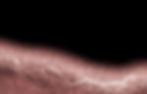 816E31AE-7AC4-499C-9FCB-4E1E7E8941A8.jpeg
