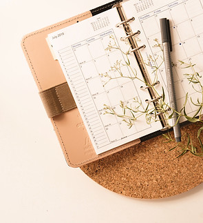 A photo of my Filofax Original Nude in personal size for my Instagram page_edited.jpg