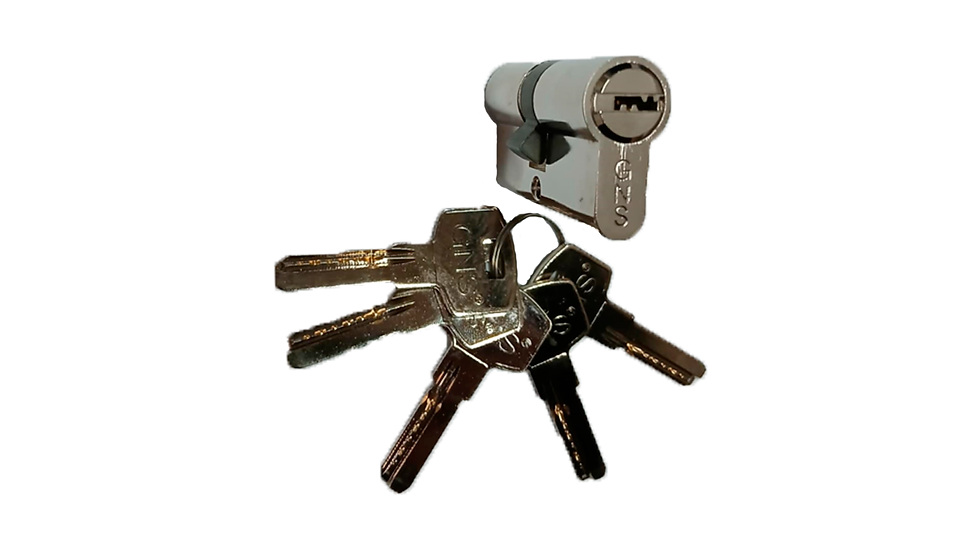 Miniatura: Cilindro de segurança Gns