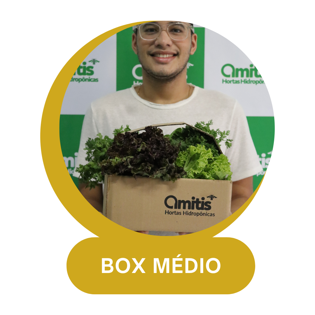 Box Médio