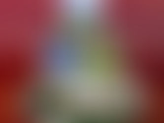 Show de intensamente 2 en explanada del palacio municipal de Atizapán