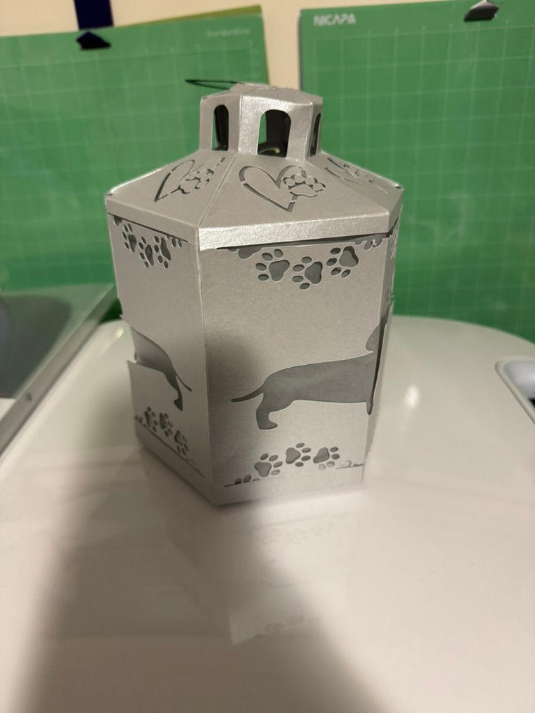 D488344C-129A-49A5-83E5-32B0B65509DA_1_105_c.jpeg