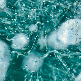 Die Suche nach der besten Ice Bubble im Abraham Lake