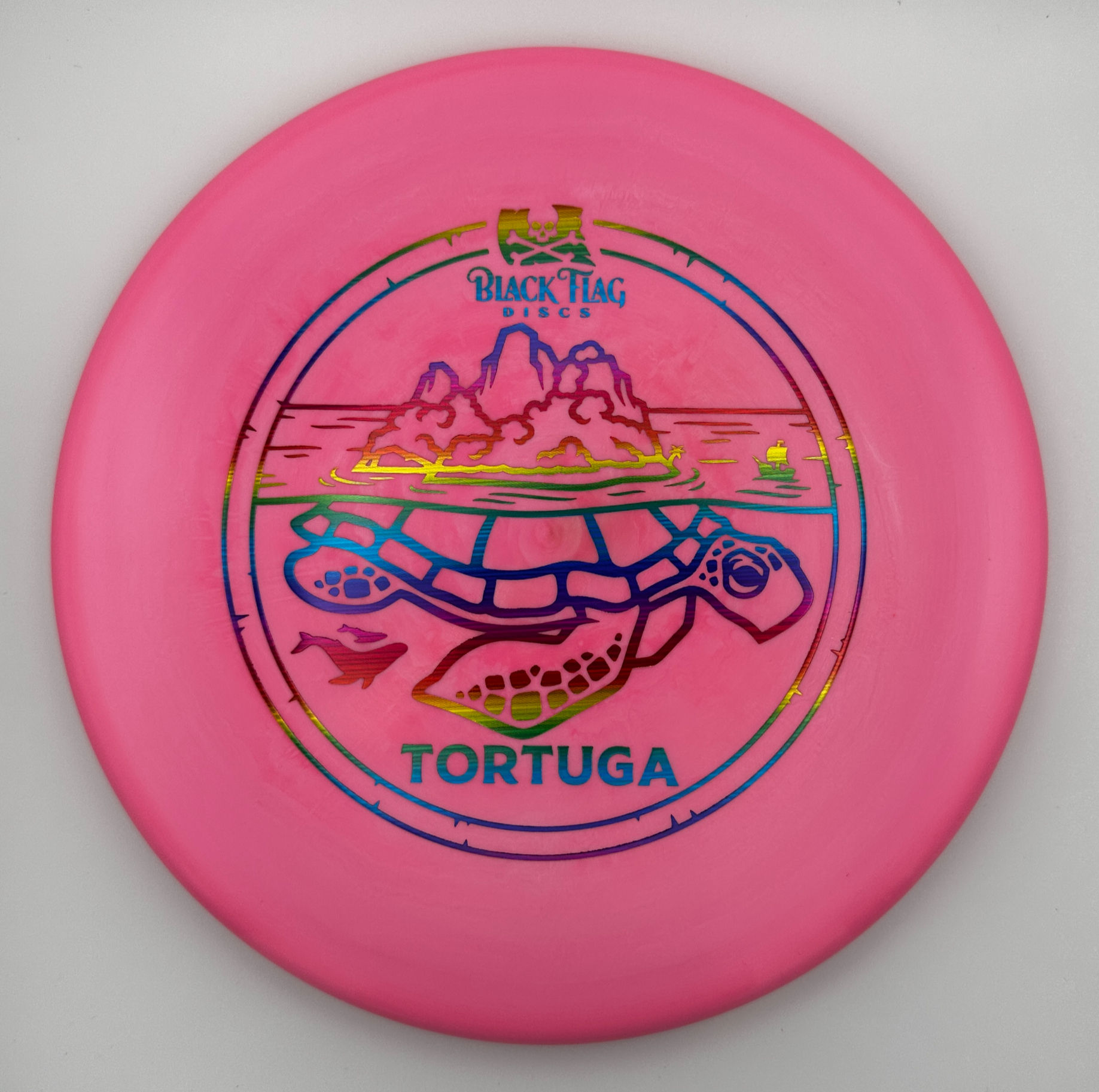 TORTUGA - Steel 173-174g (Discraft Zone - ESP)