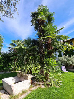 romantico palazzo dei ulivi, pursaca, gianni, monika, origoni, bed and breakfast, ferien im tessin, charme, authentisch, unterkunft, apartment, ferienwohnung, fremdenzimmer, pension, bnb, über uns, geschichte, gastgeber, tessin, lago maggiore, lago di lugano,