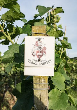 Weingut Freiherr von Gleichenstein, Kaiserstuhl Weingut, Weinbau Tradition, Oberrotweiler Eichberg, Ihringer Winklerberg, Spätburgunder, Grauburgunder, Weißburgunder, Chardonnay, Muskateller, deutscher Qualitätswein, Weinkultur Kaiserstuhl, Baden Weine, Familienweingut, Premium Weine, Weinregion Kaiserstuhl, badische Weine, Terroir Weine, nachhaltiger Weinbau, Weinverkostung, Weinmanufaktur, Weinerlebnis Kaiserstuhl, Spitzenweine Baden, Rotwein Kaiserstuhl, Weißwein Kaiserstuhl, Weingut Tradition, edle Tropfen, Pinot Noir, Pinot Blanc, Pinot Gris, Chardonnay Baden, Muskateller Baden, Weinbau Expertise, Kaiserstühler Weingut, Weinkeller Kaiserstuhl, exklusive Weine, Wein online kaufen, Weintourismus Baden, Weinberge Kaiserstuhl, Weingut entdecken, historische gasthäuser und weingüter