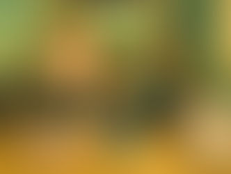 みどり台こども地域食堂