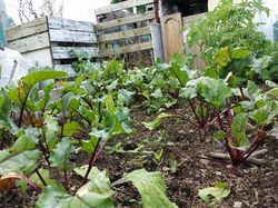 FB_IMG_1649576200543