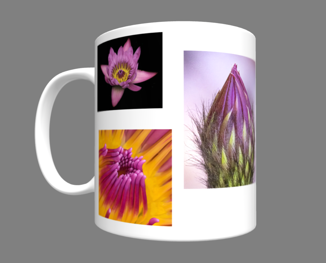 Mug, 11oz, flower collection, orchid, Spectacular waterlily, water lily, cactus, argentine cactus, aloe, passion flower,