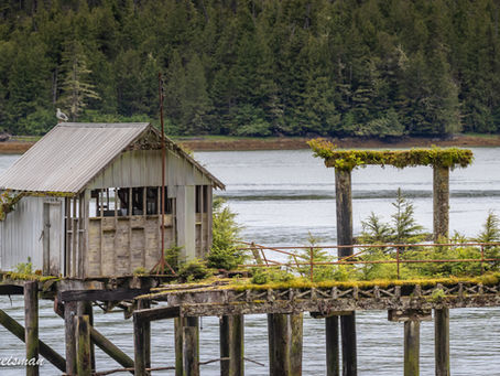 British Columbia Photography Trip: Part II