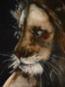 Lion Lovely 