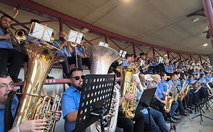 ecb14450-8211-4481-b650-13566dbc678c.jfif