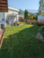 A new backyard