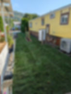 A new yard