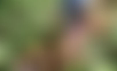 From Garden to Kitchen, Children’s Involvement During the Pandemic