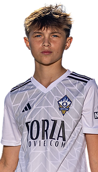Gabriel Komar_edited.png