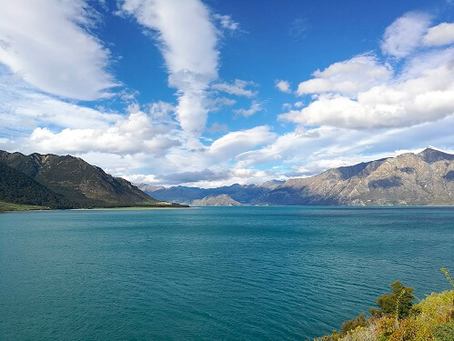 Drei Wochen als glutenfreier Kiwi in Neuseeland