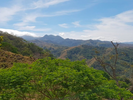 Pura Vida: Glutenfrei in Costa Rica